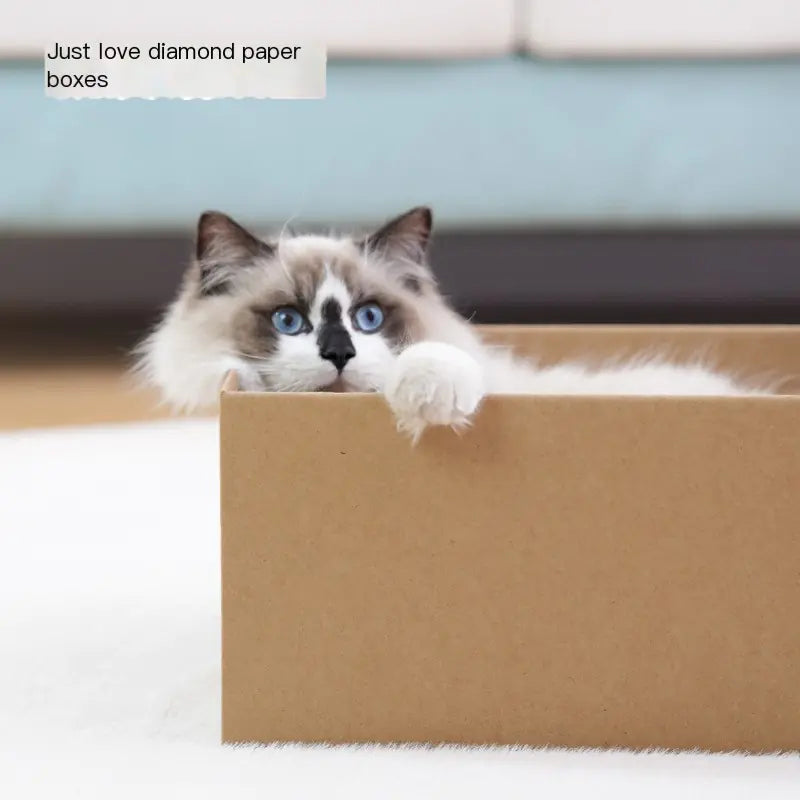 Durable Corrugated Paper Cat House and Scratching Pad