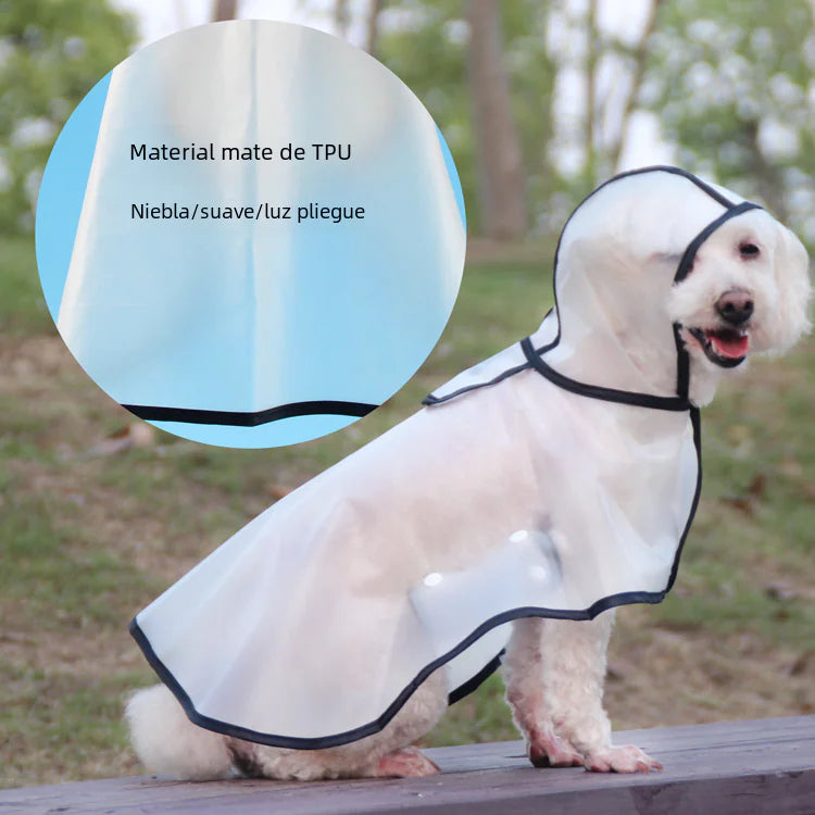 TPU Dog Raincoat for Small Breeds - In Stock