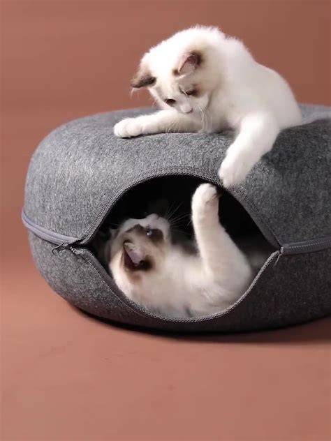 Pawspire™ Cat Tunnel Bed – Bestseller 🐾