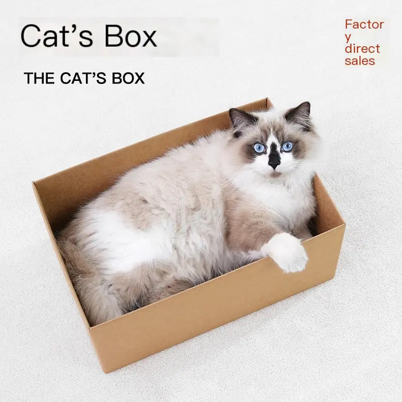 Durable Corrugated Paper Cat House and Scratching Pad